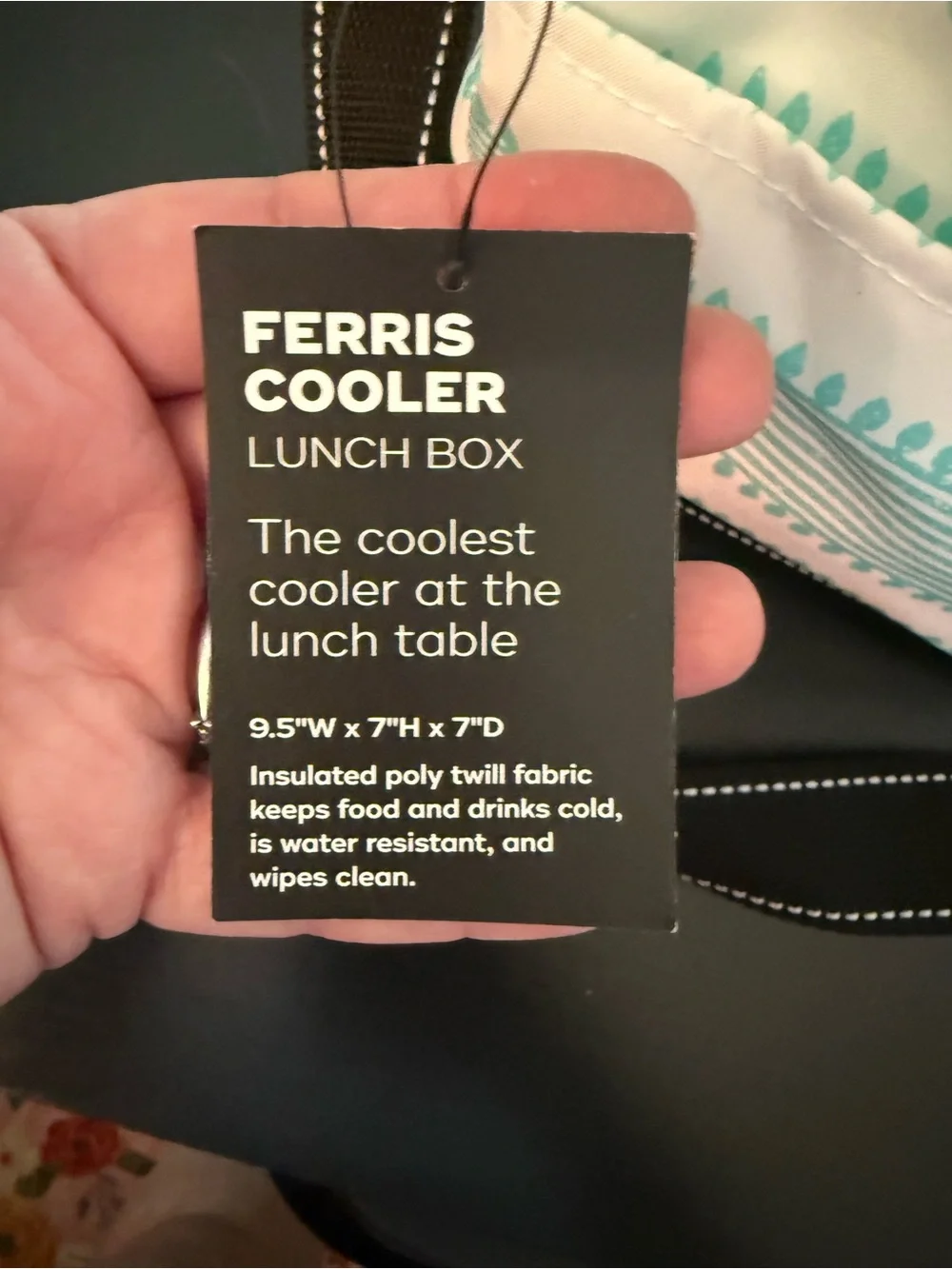 SCOUT the brand new Ferris Cooler Lunch Box with mint and white stripes. NWT!